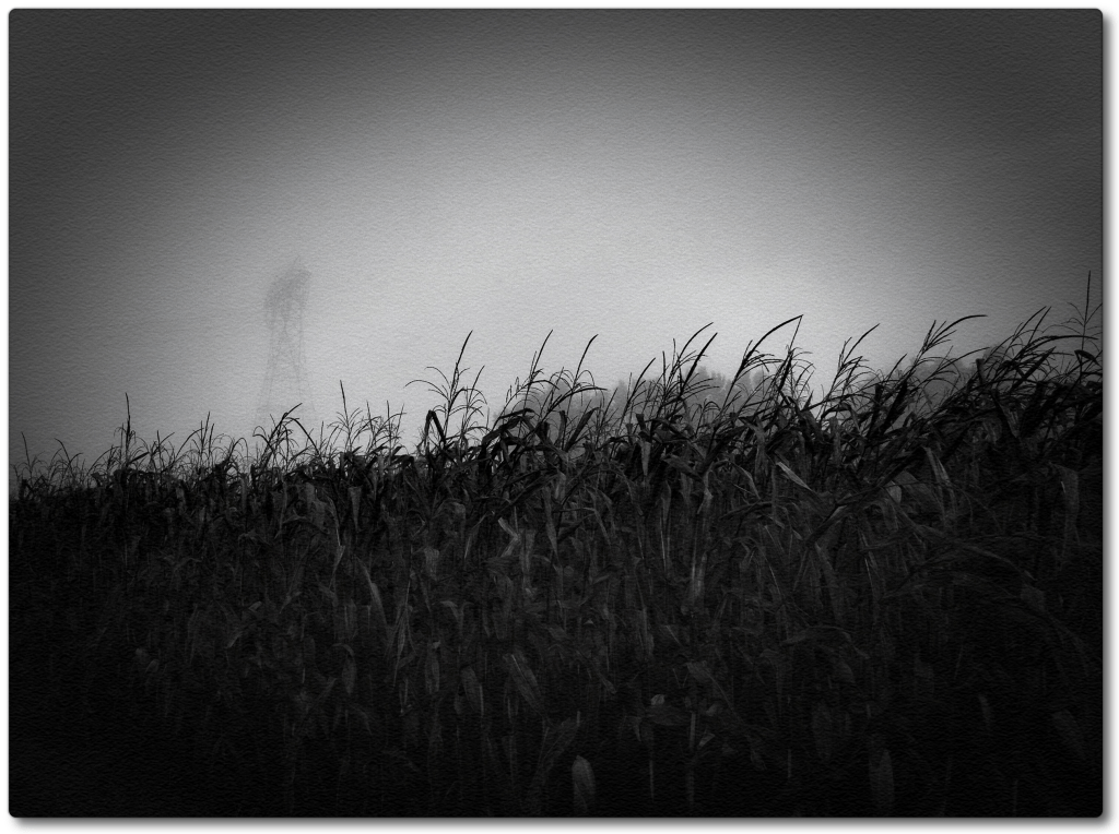 Foggy Day C+ set Sept 2013 photo5