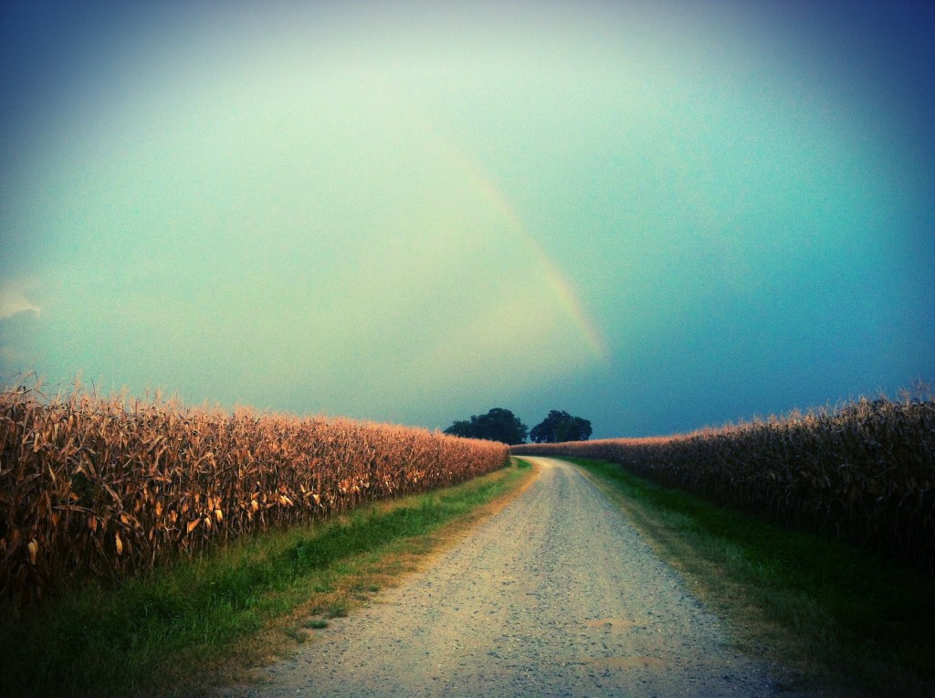 Rainbow iphoneography for blog post 9:13