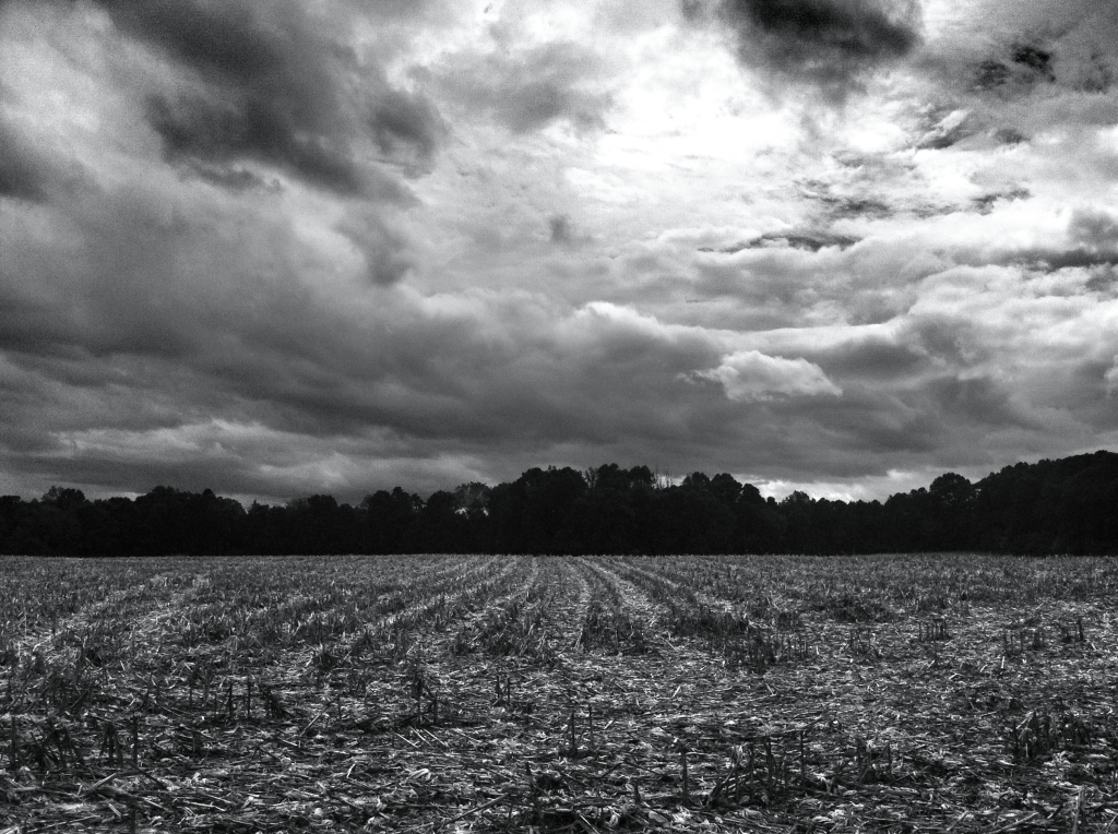 Phoneography Challenge: Nature. Tropical Storm Karen and the&nbsp;Cornfields