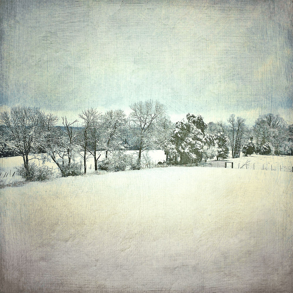 field in winter snow