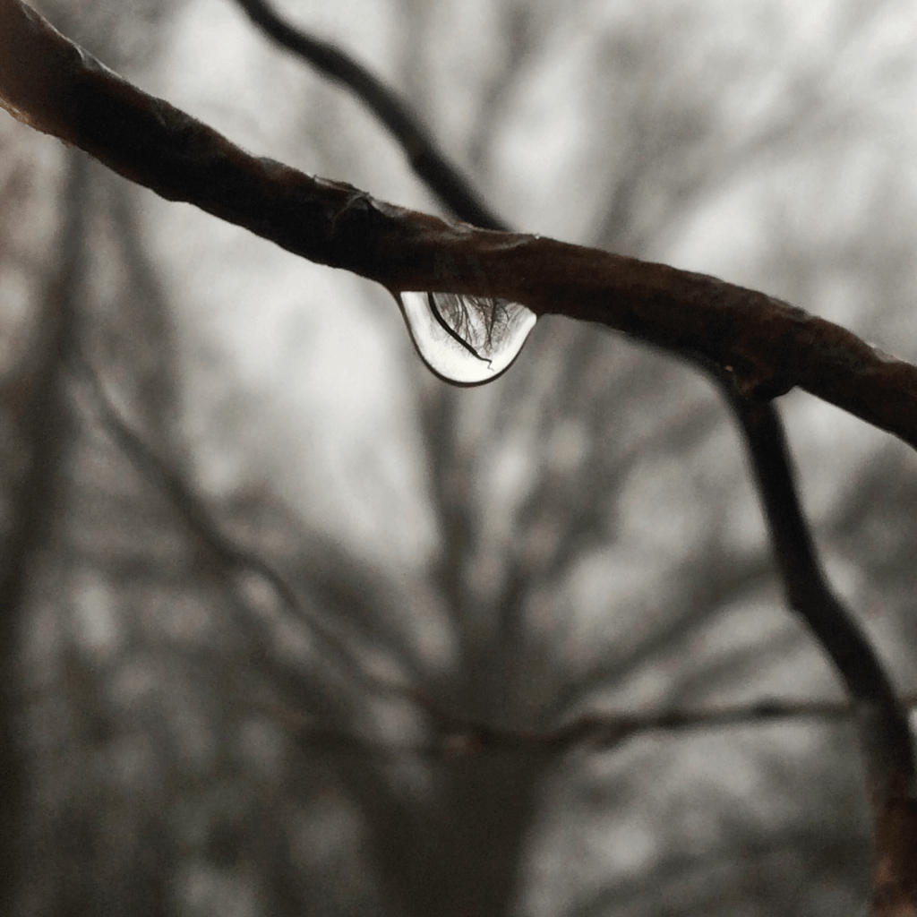 A Drop, a&nbsp;World