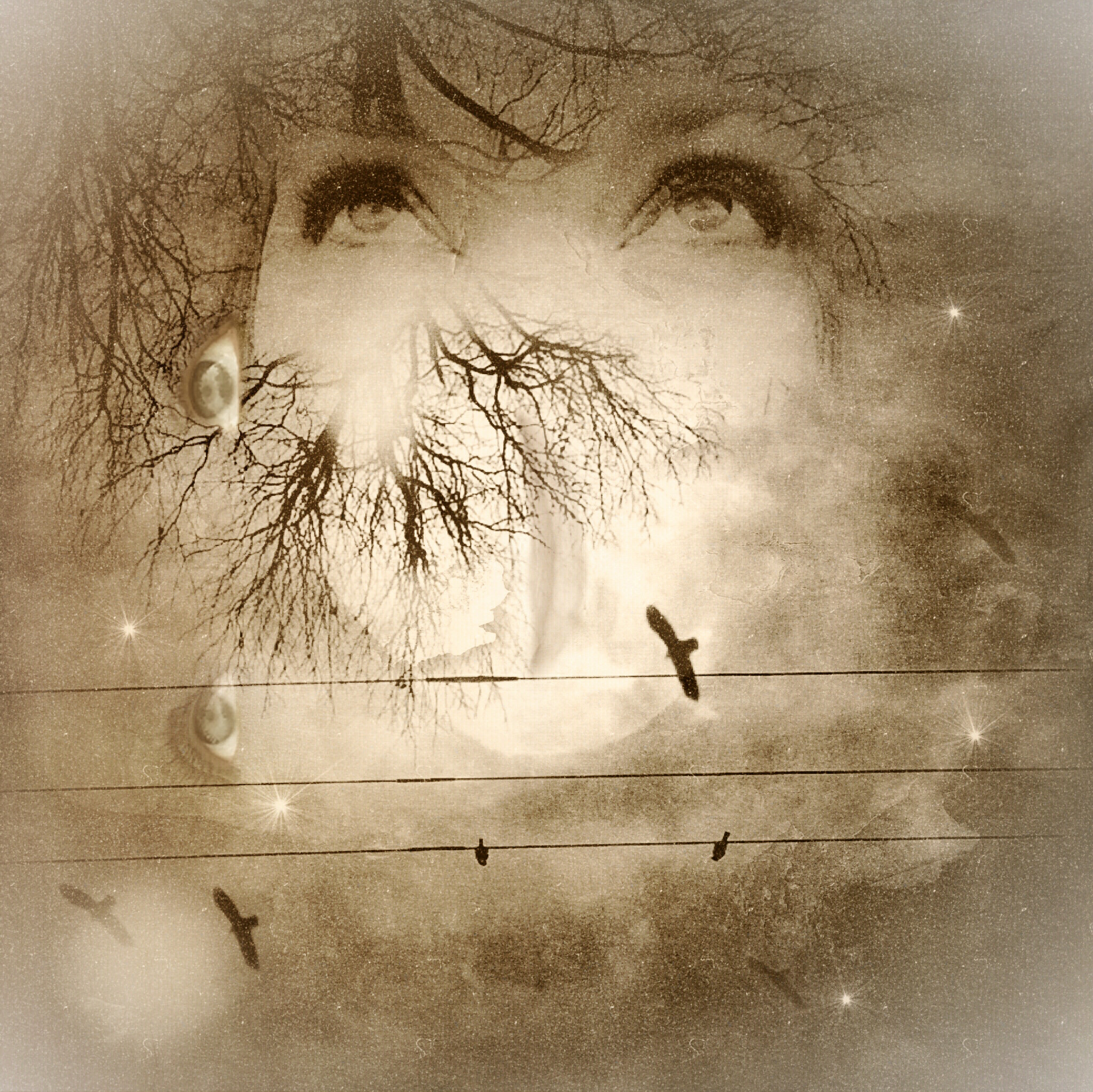 Melissa D Johnston-Muse-Story-OTPH