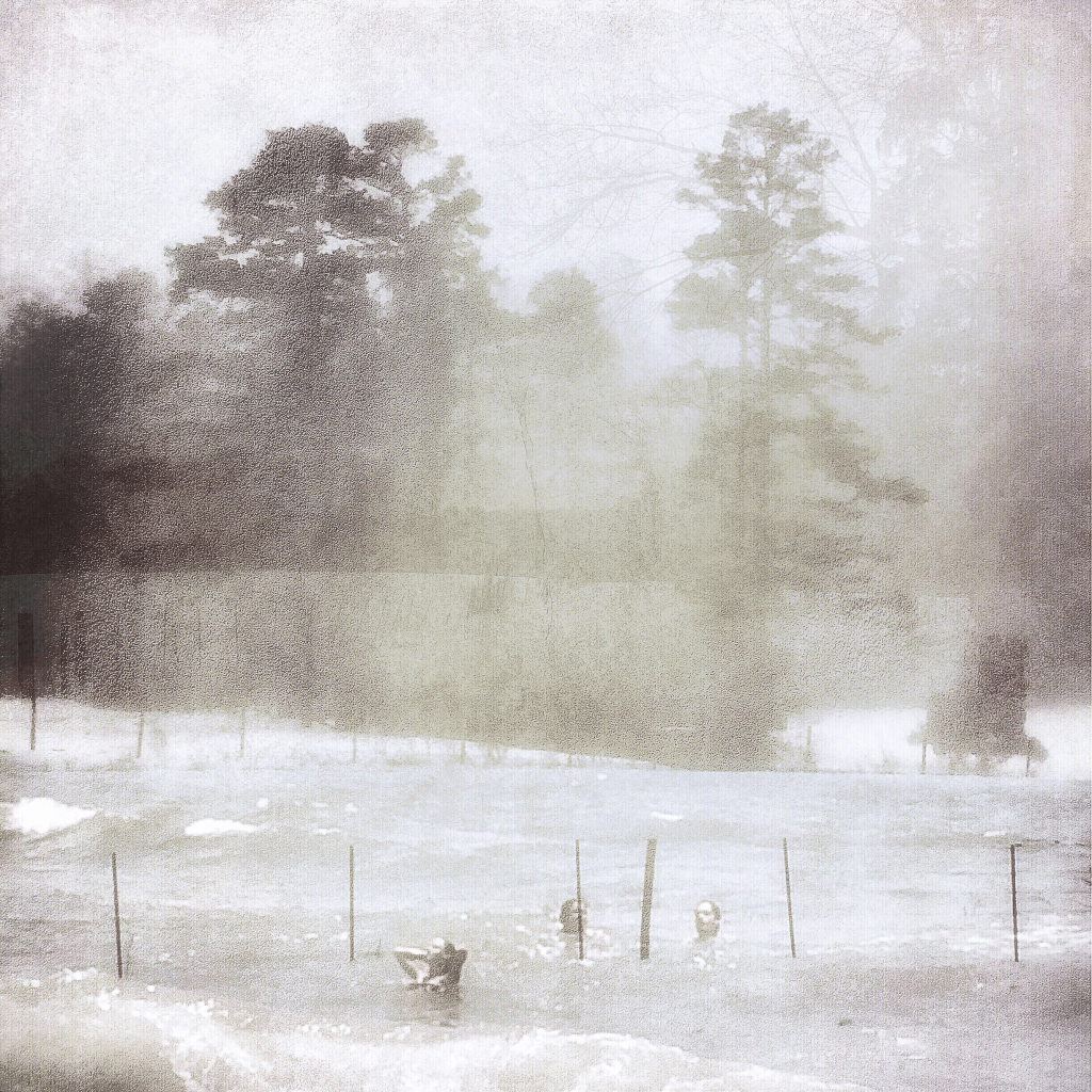 ghosts and shadows ii-farm, sea, and sun Flickr L