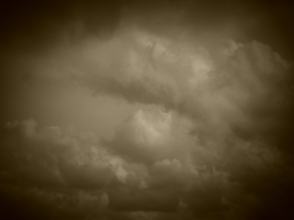 Holga batch 1.5 wp flickr L