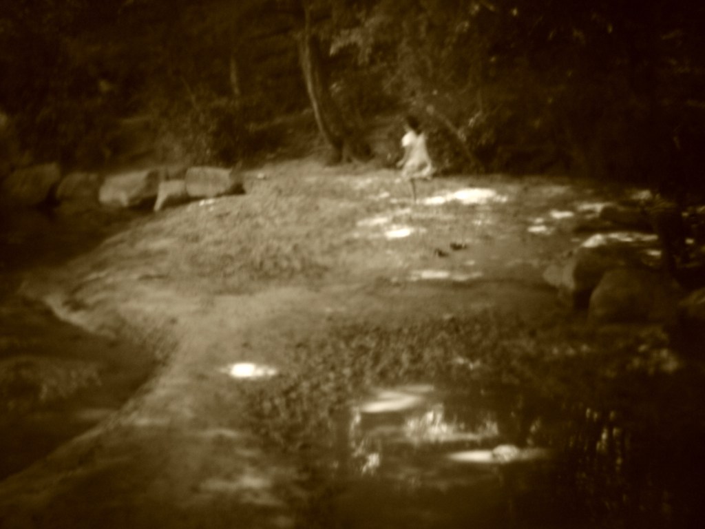 Holga Jones Bridge Park 1.1 May 8 2016 Flickr L