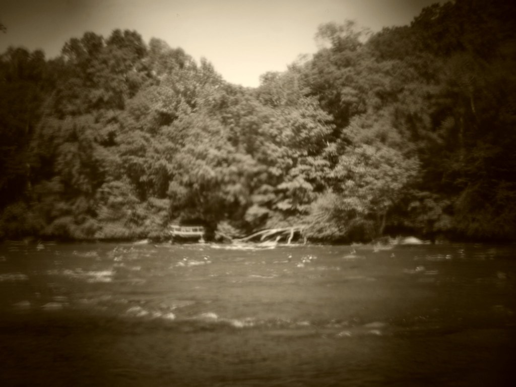 Holga Jones Bridge Park 3 May 8 2016 Flickr L