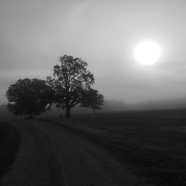 november-2-2016-sun-fog-2-flickrm