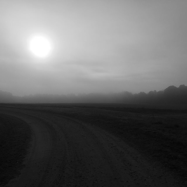 november-2-2016-sun-fog-3-flickrm